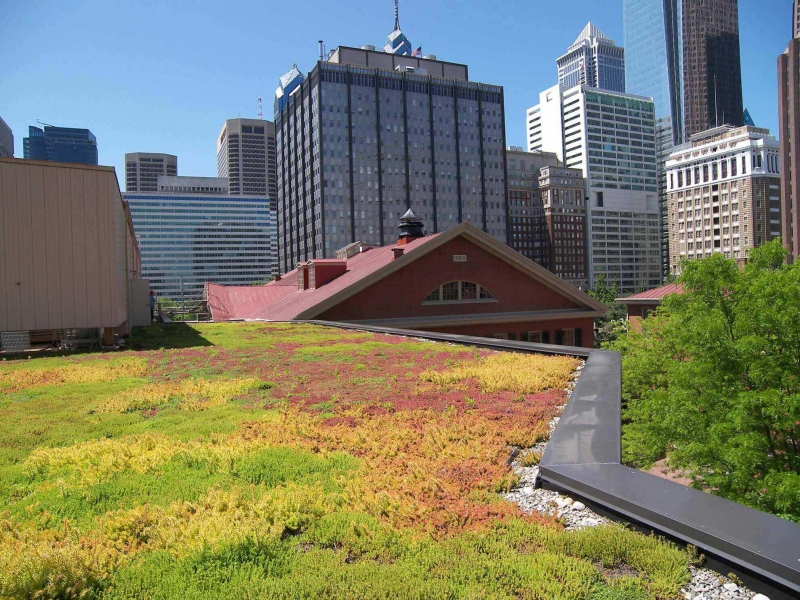 paysagiste-PEYMEINADE-min_green-roof-portfolio-4